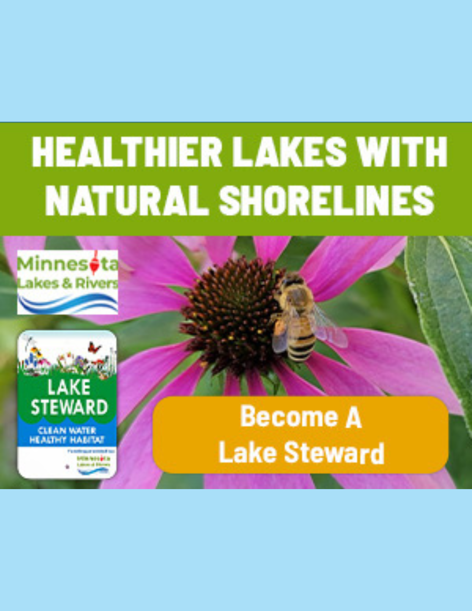 Lake Steward Poster - Bee